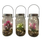 GIOCOPLAST NATALE - BARATTOLO GARDEN H.17 X D.9 CM CON LUCE LED, A BATT., MOD. ASS.