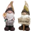 Miniatura Immagine principale 1