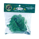 GIOCOPLAST NATALE - LICHENE IN BUSTA GR.40