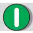 G.G.T. GIOVENZANA TRASFORMAZIONI - PULSANTE VERDE SIMBOLO MARCIA PL005001