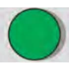 G.G.T. GIOVENZANA TRASFORMAZIONI - PULSANTE VERDE NEUTRO