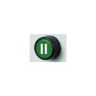 G.G.T. GIOVENZANA TRASFORMAZIONI - PULSANTE VERDE RASATO