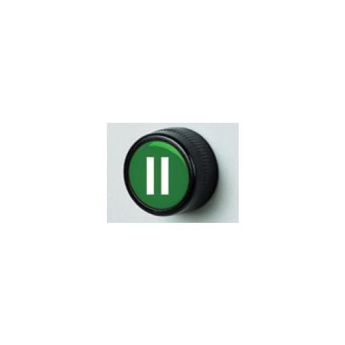 G.G.T. GIOVENZANA TRASFORMAZIONI - PULSANTE VERDE RASATO