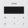 Miniatura Immagine principale 1