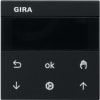 Miniatura Immagine principale 1