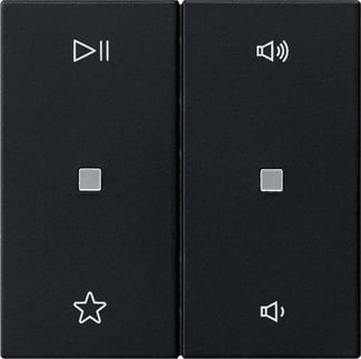 GIRA - BIL. 2-M CTRL.AUDIO