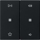 GIRA - BIL. 2-M CTRL.AUDIO