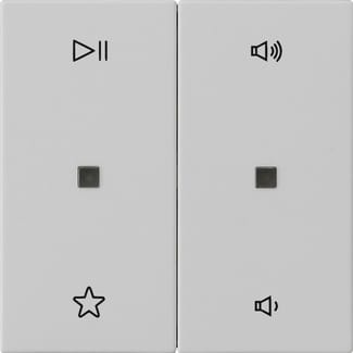 GIRA - BIL. 2-M CTRL.AUDIO