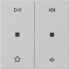 GIRA - BIL. 2-M CTRL.AUDIO