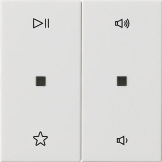GIRA - BIL. 2-M CTRL.AUDIO