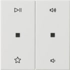 GIRA - BIL. 2-M CTRL.AUDIO