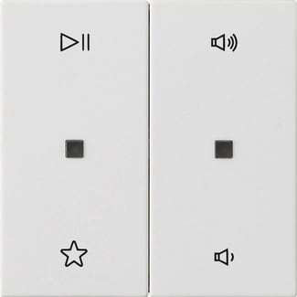 GIRA - BIL. 2-M CTRL.AUDIO
