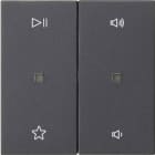 GIRA - BIL. 2-M CTRL.AUDIO