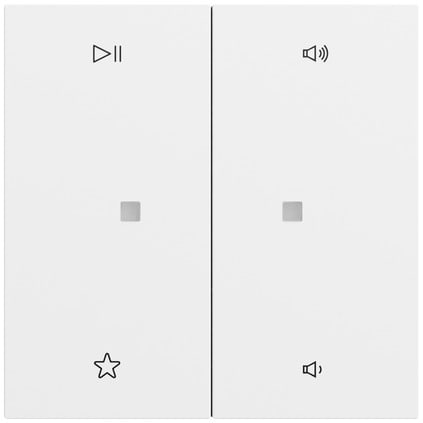 GIRA - BIL. 2-M CTRL.AUDIO