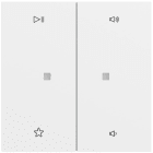GIRA - BIL. 2-M CTRL.AUDIO