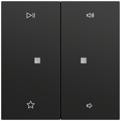 GIRA - BIL. 2-M CTRL.AUDIO
