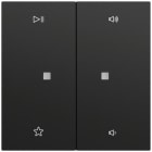 GIRA - BIL. 2-M CTRL.AUDIO