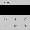Miniatura Immagine principale 1