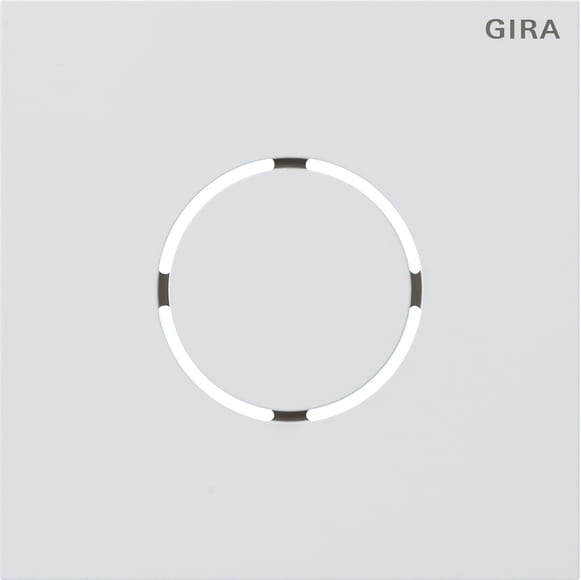 GIRA - P.FRONTALE MOD.VOCALE