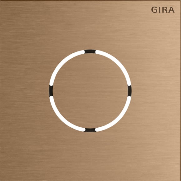 GIRA - P.FRONTALE MOD.VOCALE