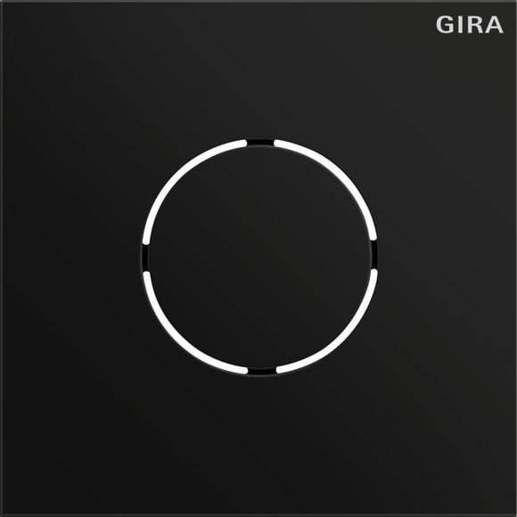 GIRA - P.FRONTALE MOD.VOCALE