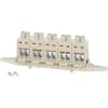 Miniatura Immagine principale 1