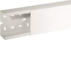HAGER BOCCHIOTTI - TA-N 100x60 W Canale porta apparecchi e porta cavi BIANCO