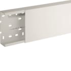 HAGER BOCCHIOTTI - TA-N 150x60 W Canale porta apparecchi e porta cavi BIANCO