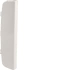 HAGER BOCCHIOTTI - TPT SBA AP W Tappo terminale scatole autoportanti Pepita TBA-Art BIANCO