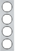 Miniatura Immagine principale 1