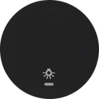 HAGER BOCCHIOTTI - Bilanciere con serigrafia per luce Berker R.1/R.3 nero lucido