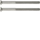 HAGER BOCCHIOTTI - Viti a due fori 2 x M3,5 x 50 mm Berker TS cromo lucido, ottone galvanizzato