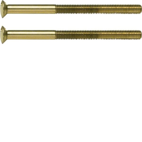 HAGER BOCCHIOTTI - Viti a due fori 2 x M3,5 x 50 mm Berker TS oro lucido, 24 carati galvanizzato