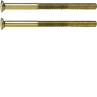 HAGER BOCCHIOTTI - Viti a due fori 2 x M3,5 x 50 mm Berker TS oro lucido, 24 carati galvanizzato