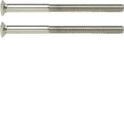 HAGER BOCCHIOTTI - Viti a due fori 2 x M3,5 x 50 mm Berker TS acciaio inox opaco, nichel spazzolato