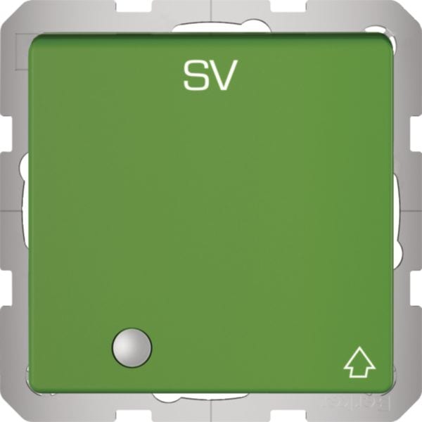 HAGER BOCCHIOTTI - Presa Schuko con coperchio, alta protezione contatti e LED, Q.x, verde opaco