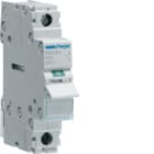 HAGER BOCCHIOTTI - Interruttore Di Manovra - Sezionatore 1 Polo 63 A 230 V Ac 1 M. Din