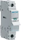 HAGER BOCCHIOTTI - Interruttore Di Manovra - Sezionatore 1 Polo 100 A 230 V Ac 1 M. Din
