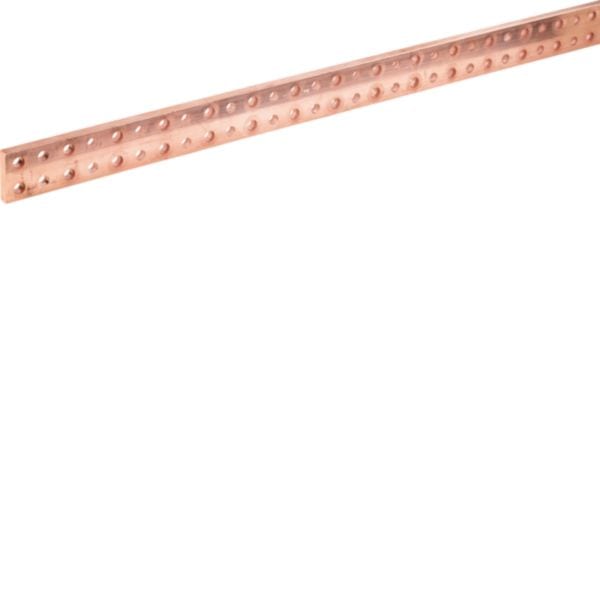 HAGER BOCCHIOTTI - Sistema Quadro Barra In Rame Forata M10 Sezione 50X10 L1750