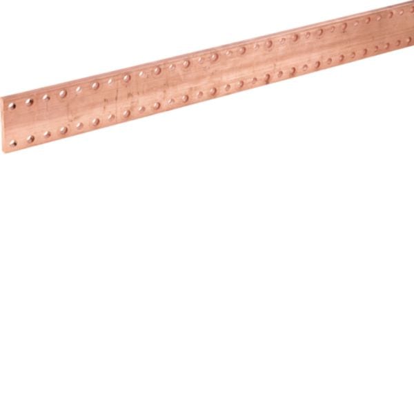 HAGER BOCCHIOTTI - Sistema Quadro Barra In Rame Forata M10 Sezione 80X10 L1750