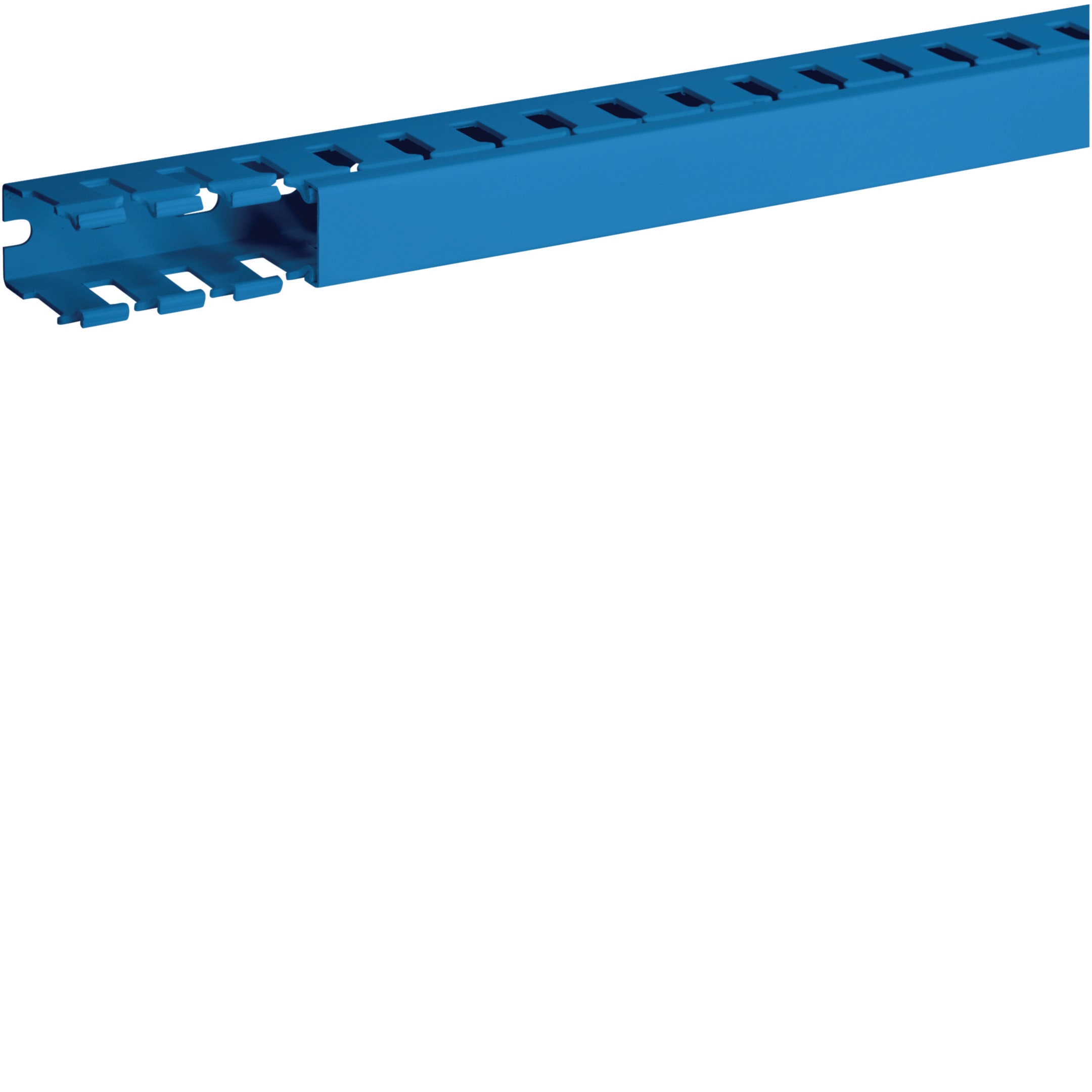HAGER BOCCHIOTTI - Canaletta per cablaggio modulo 12,5 feritoia 5 blu T1 25x30 BL