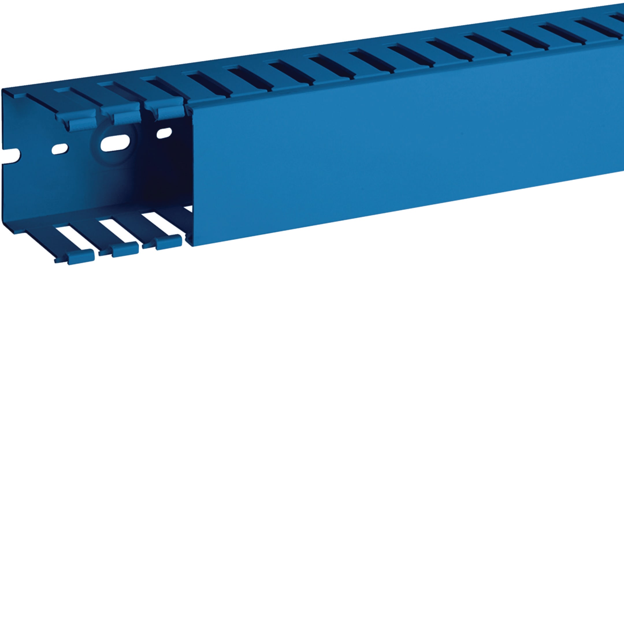 HAGER BOCCHIOTTI - Canaletta per cablaggio modulo 20 feritoia 8 blu T1 60x60 BL