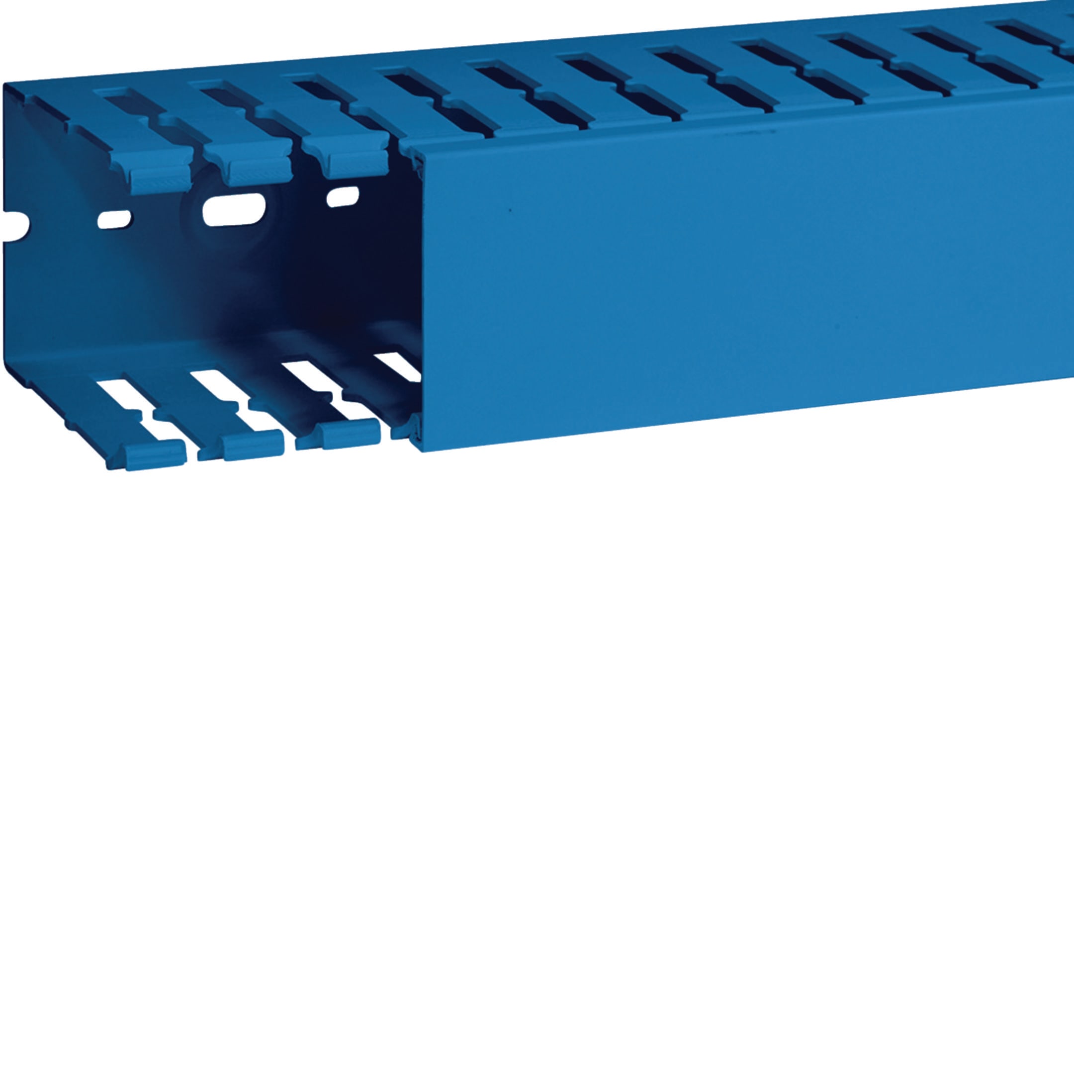 HAGER BOCCHIOTTI - Canaletta per cablaggio modulo 20 feritoia 8 blu T1-F 60x80 BL