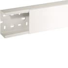 HAGER BOCCHIOTTI - TA-N 100x60 W Canale porta apparecchi e porta cavi BIANCO