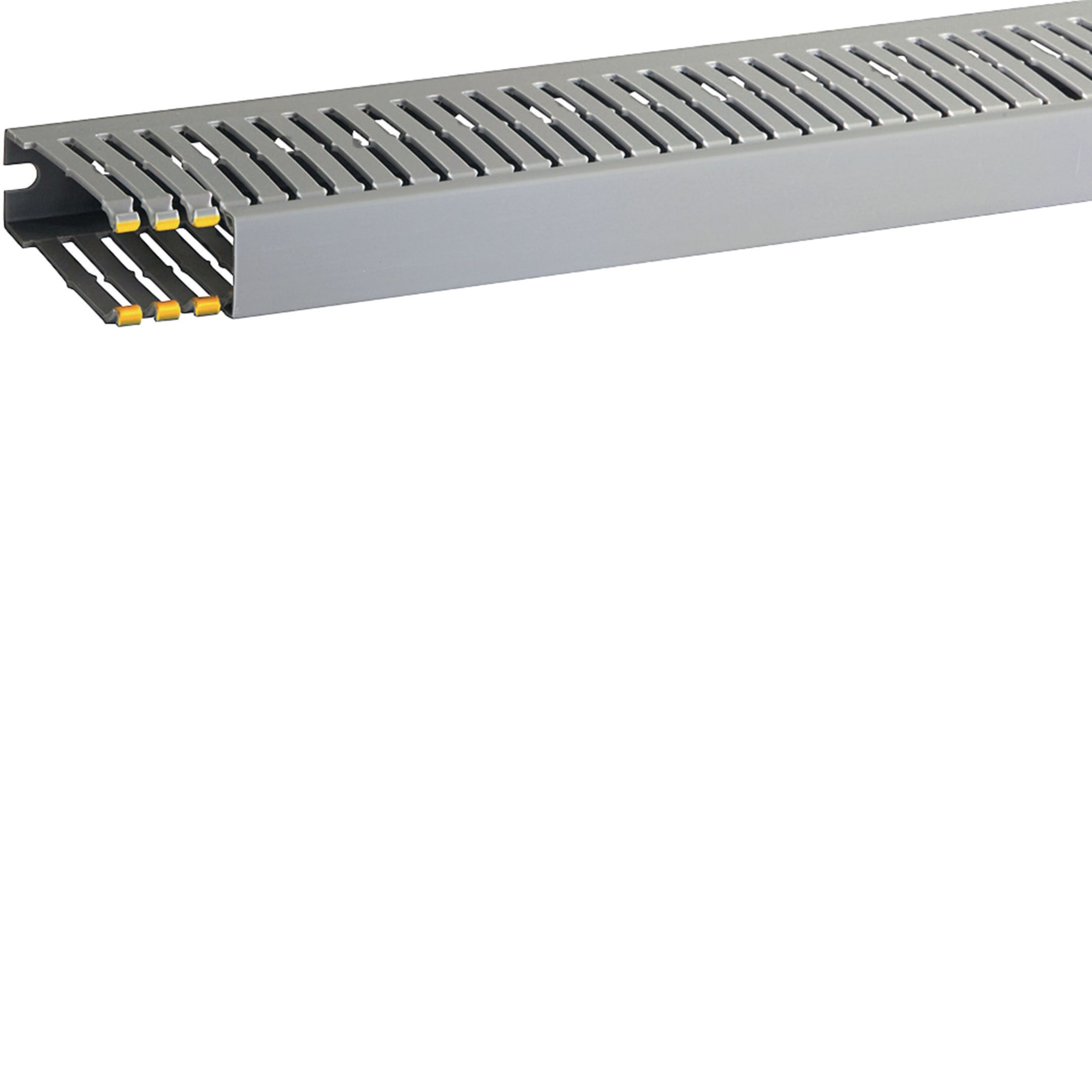 HAGER BOCCHIOTTI - T1-EN 25x80 G Canaletta con coestruso morbido modulo 10 feritoia 4 GRIGIO