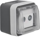 HAGER BOCCHIOTTI - Presa TV doppia terminale + coperch a parete Serie W.1 grigio/grigio chiaro opac