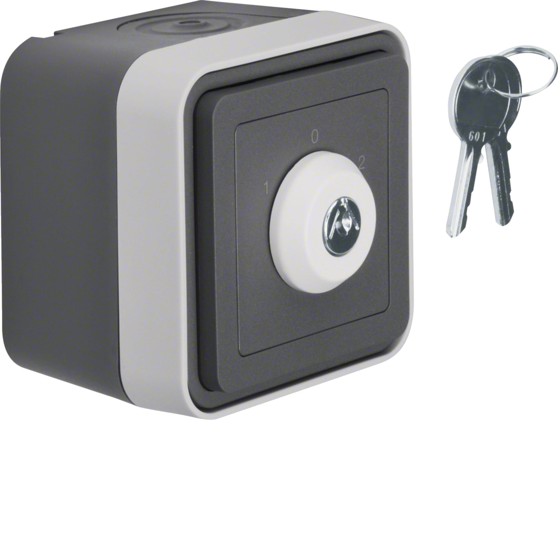 HAGER BOCCHIOTTI - Comm. a chiave x ven. simb. da muro mors.ingr.separ. Serie W.1 gri/grig chiar op