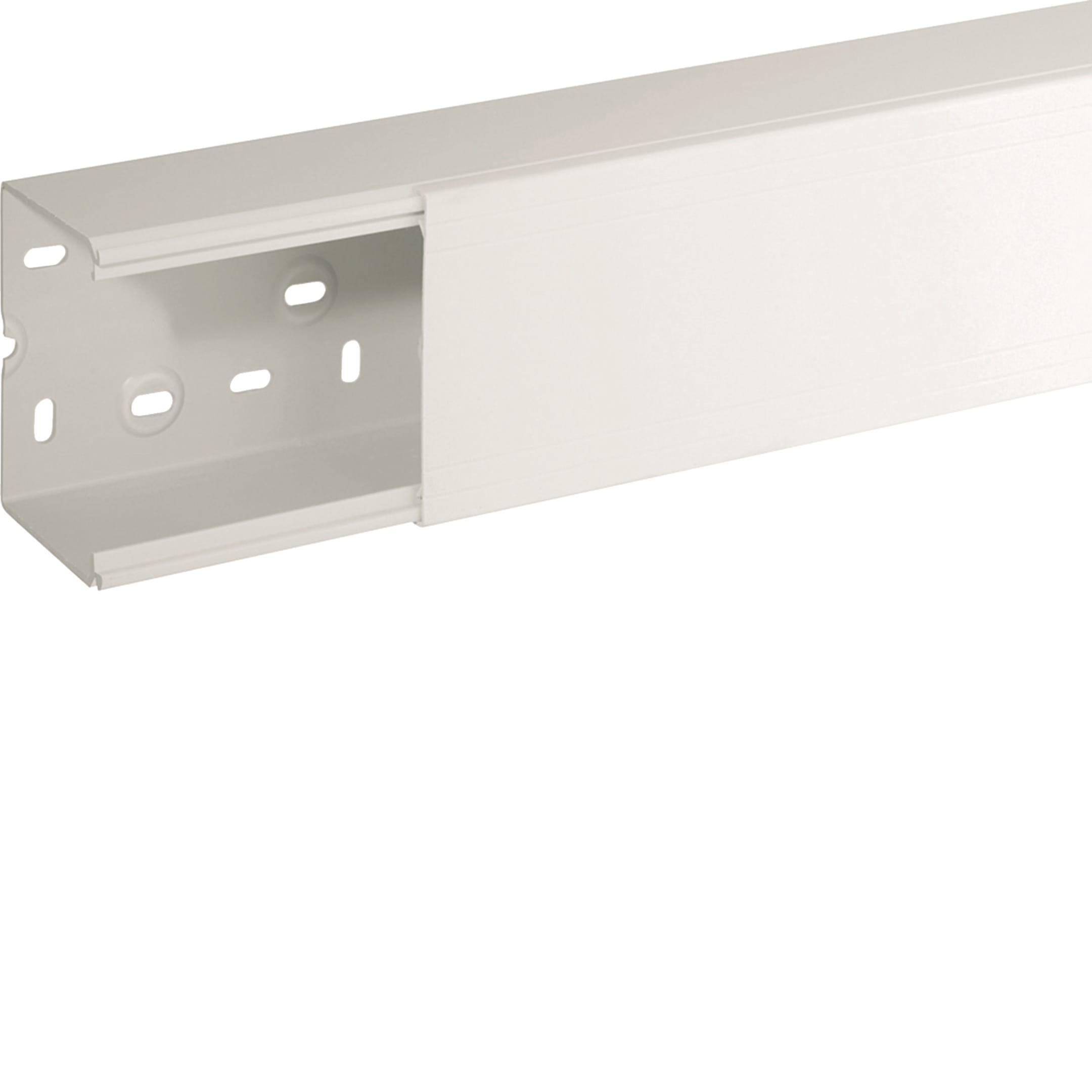 HAGER BOCCHIOTTI - Canale porta apparecchi e porta cavi bianco completo di coperchio TA-N 100x80 W