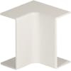 Miniatura Immagine principale 1