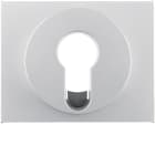 HAGER BOCCHIOTTI - Pezzo c.le  x interruttore/pulsante a chiave Berker K.5 alu opaco, verniciato